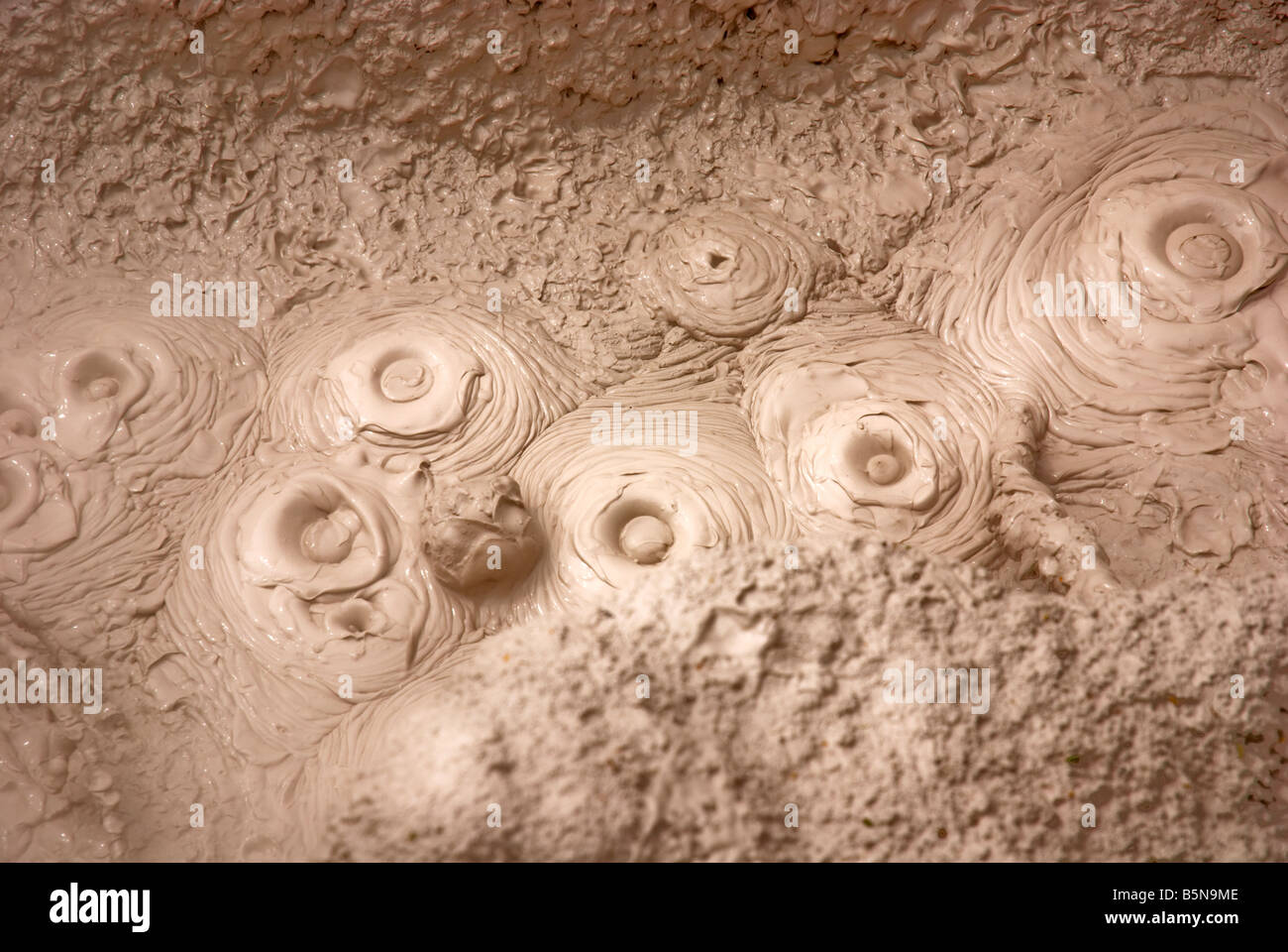 Bubbling Mud in New Zealand Stock Photo