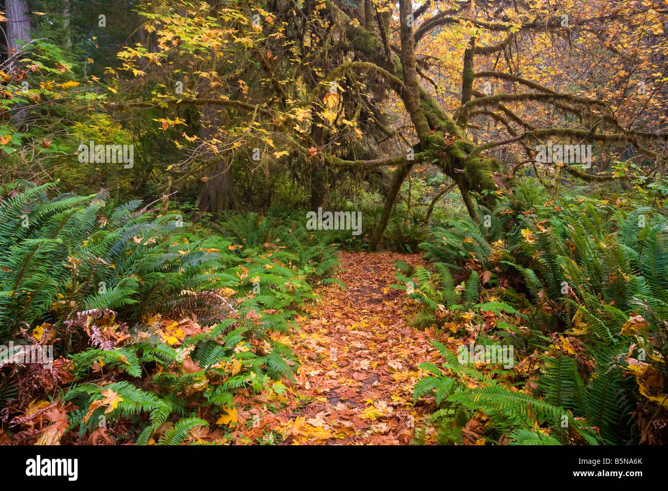 Newton b drury scenic byway hires stock photography and images Alamy