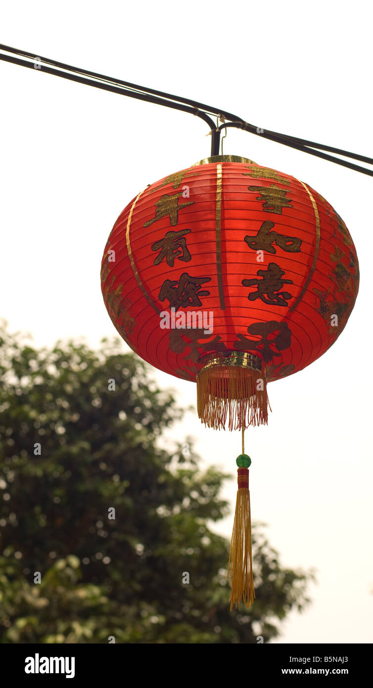 Chinese lantern hanging in a Singapore market during Chinese New Year