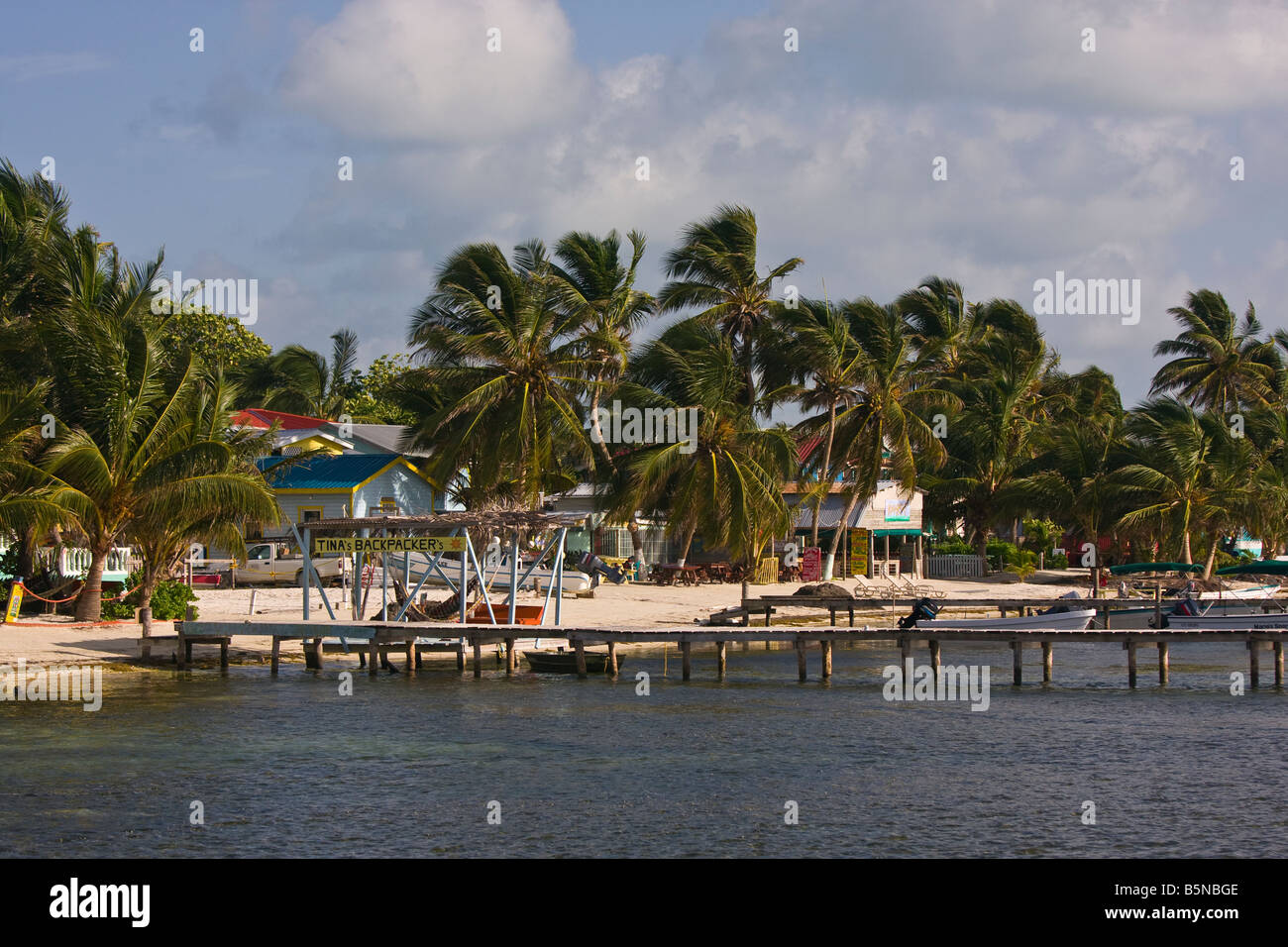 CAYE CAULKER BELIZE Docks and palm trees on waterfront Stock Photo