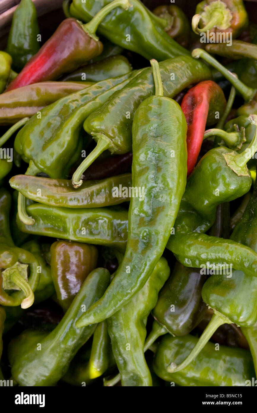 Green chili peppers for sale at farmers market Stock Photo Alamy