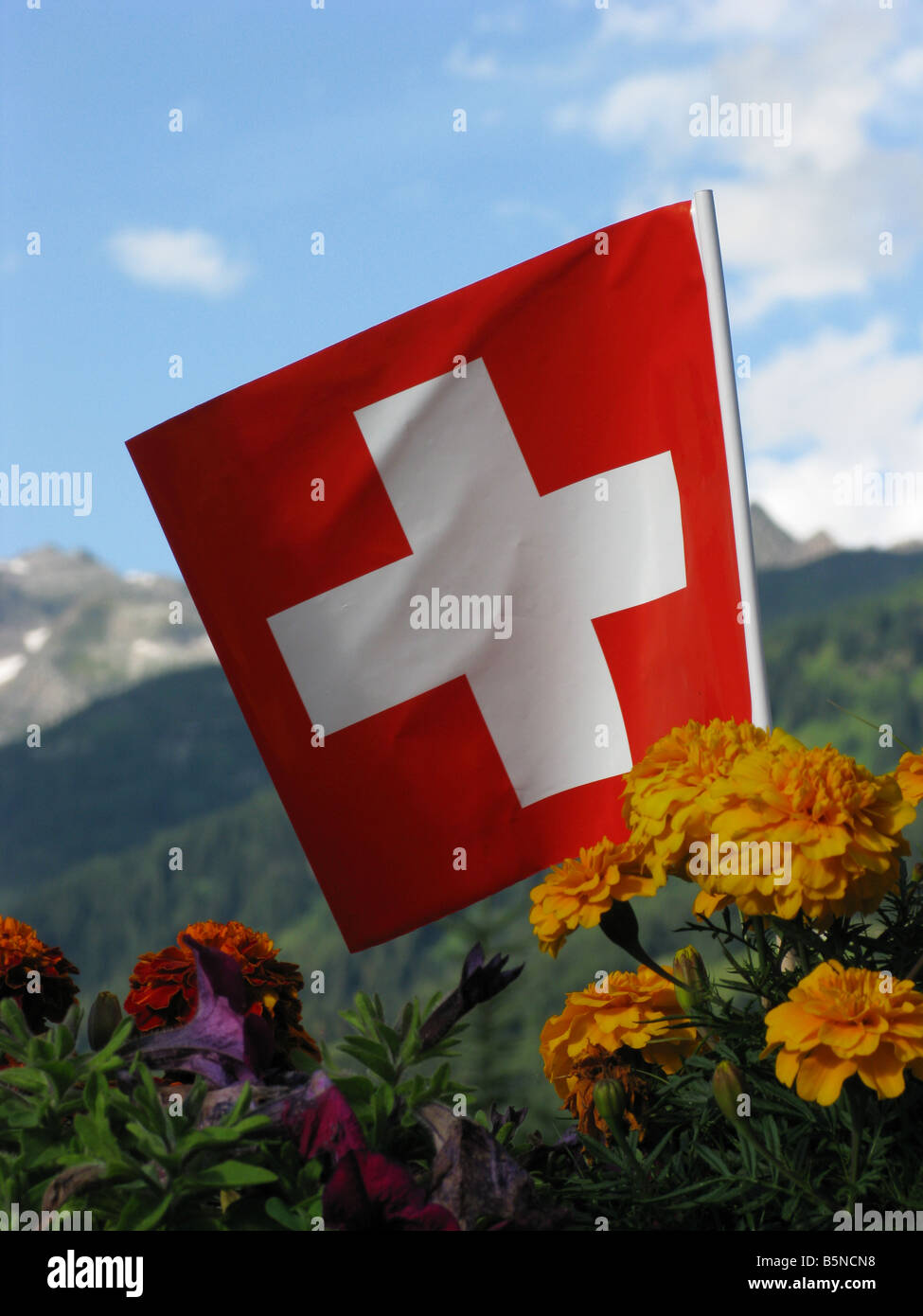 Swiss national flag with mountain range in the background Stock Photo