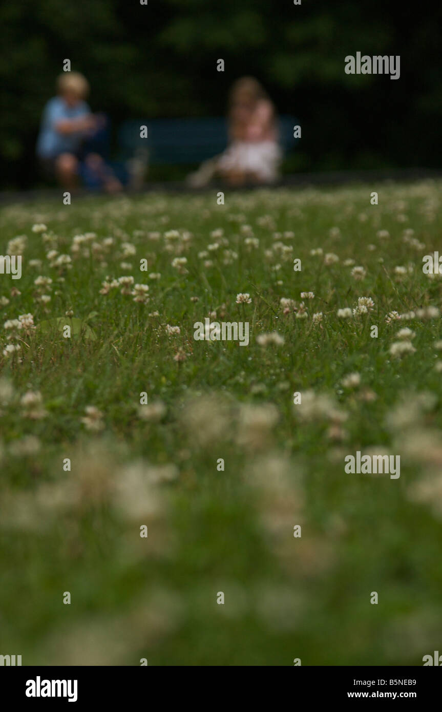 Two children in the distance playing in a luscious, green park Stock ...