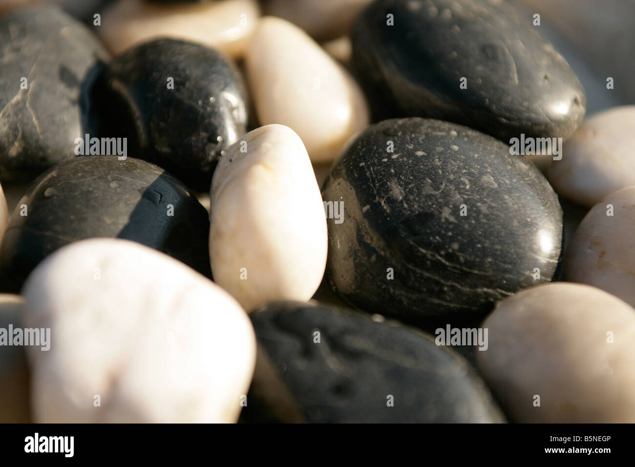 Black and white pebbles in a pile on a beach Stock Photo
