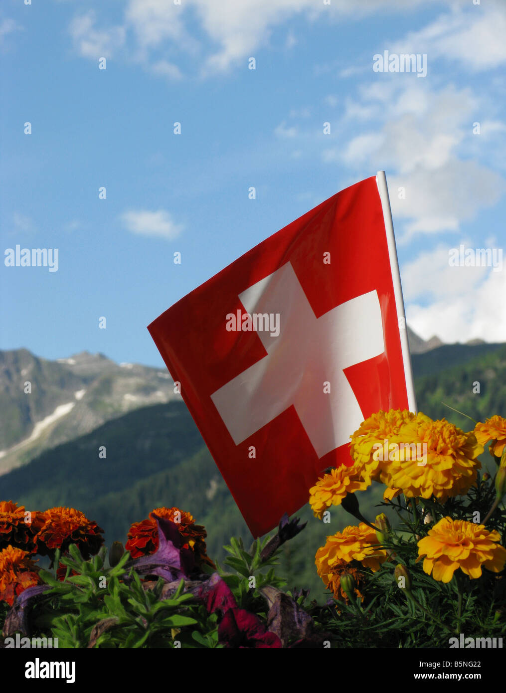 Swiss national flag with mountain range in the background Stock Photo