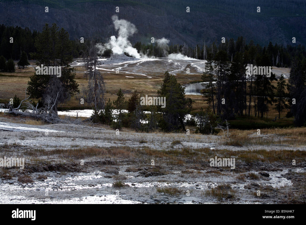 yellowston national park geyser view Stock Photo