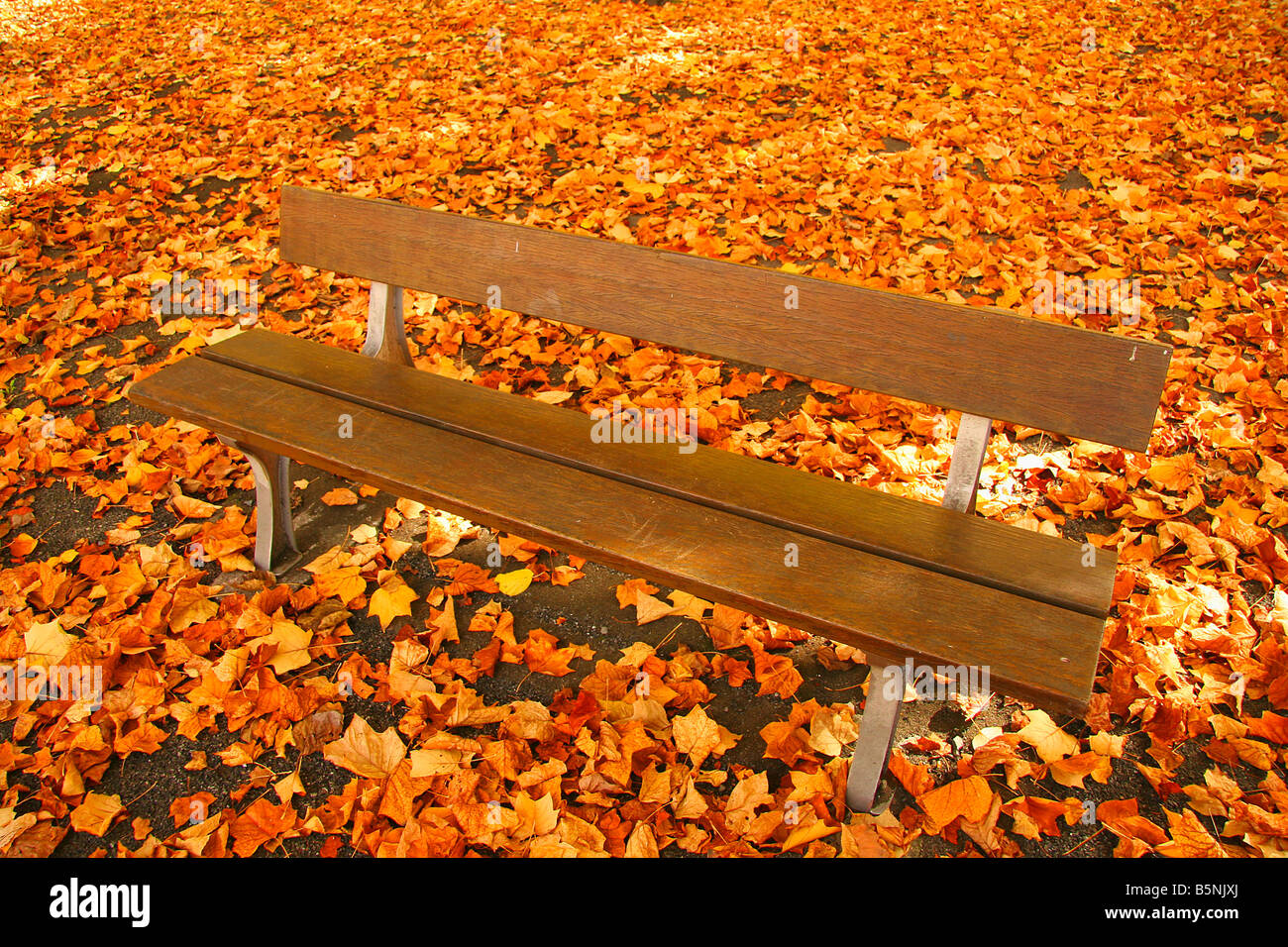 Bench in a park Stock Photo - Alamy
