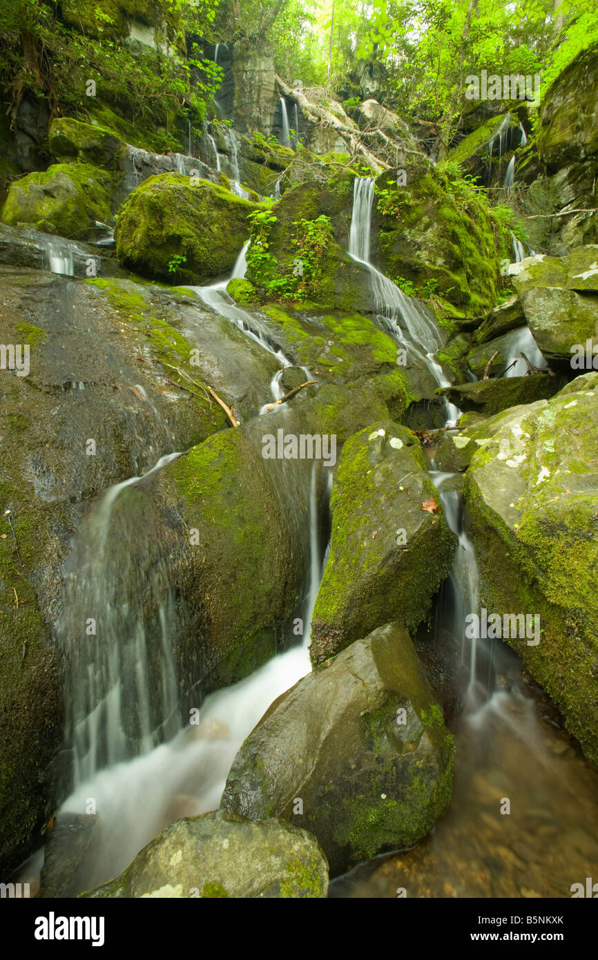 Cliff Branch Falls The Place of a Thousand Drips Great Smoky Mountains