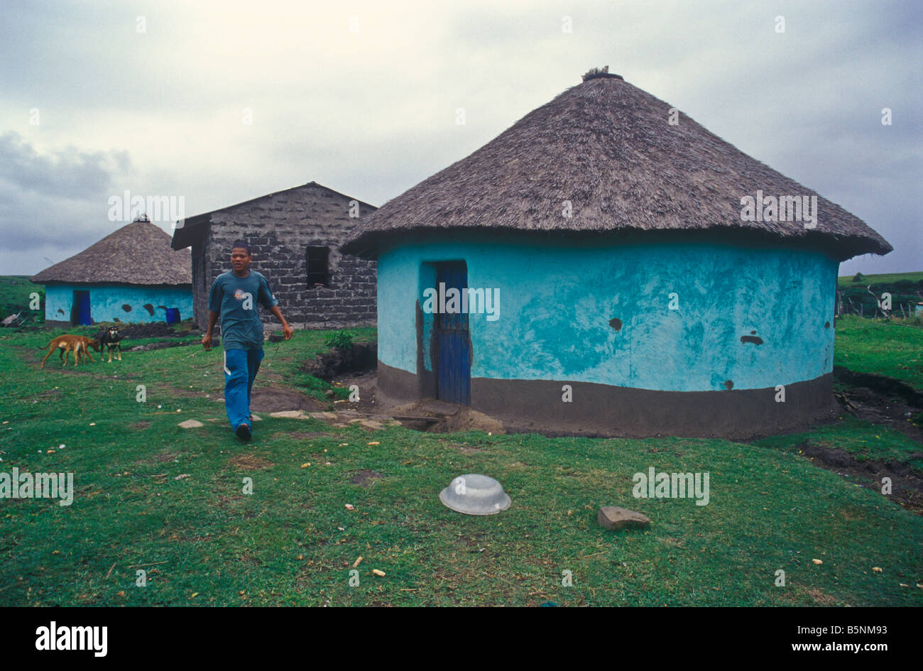 Traditional Zulu hut Coffee Bay, Wild Coast, Eastern Cape, South Africa Stock Photo