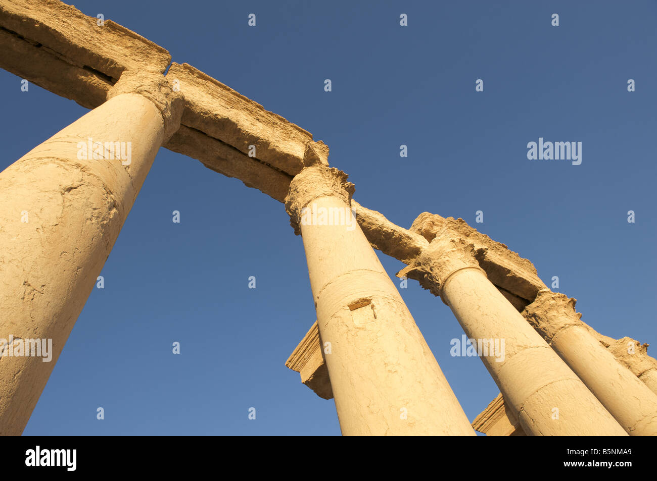 Pillars, Palmyra, Syria Stock Photo