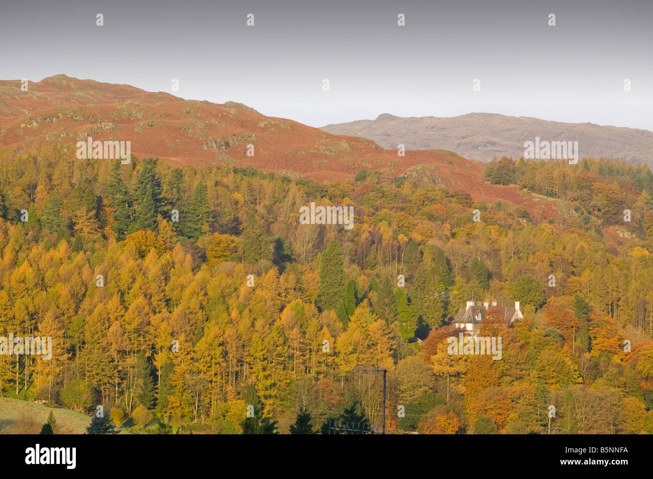 Autumn colours above Ambleside in the Lake District UK Stock Photo