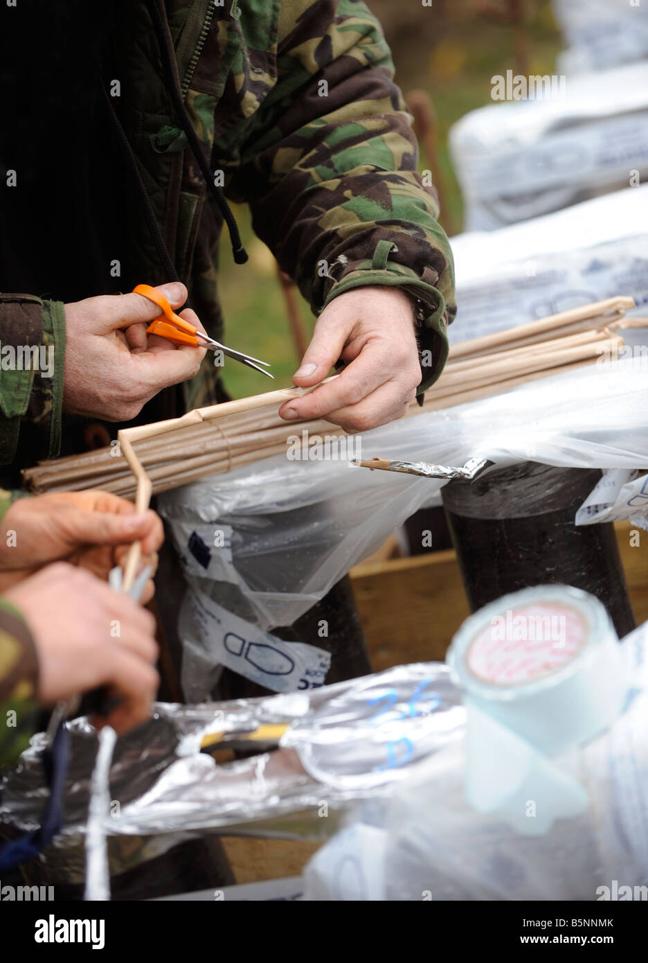 Fireworks being wired up with fuses ready for a public display on bonfire night in East Sussex. Stock Photo