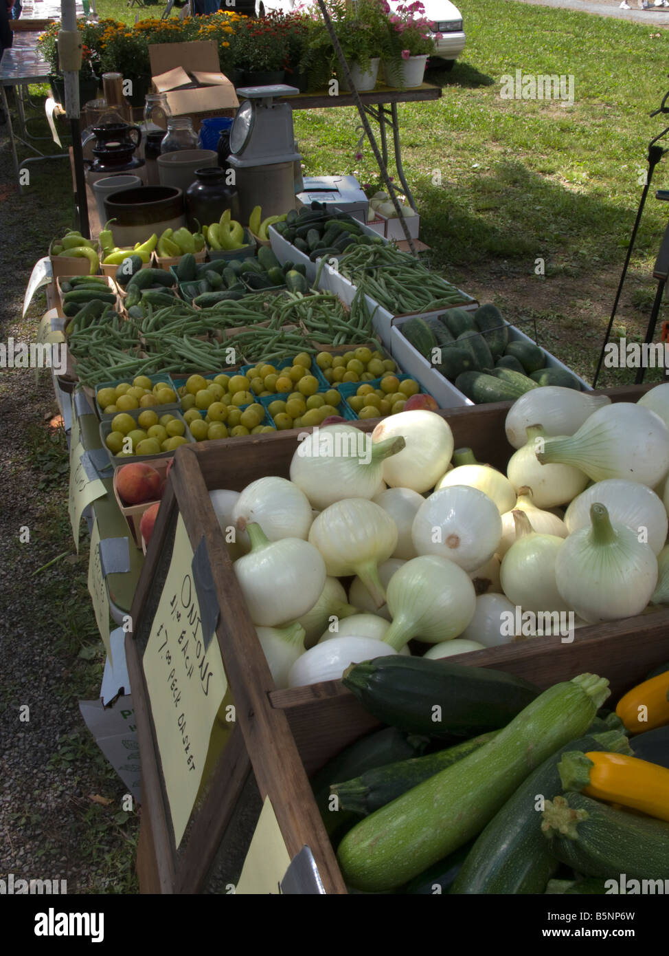 FARMERS MARKET STALL BROOKVILLE JEFFERSON COUNTY PENNSYLVANIA USA Stock