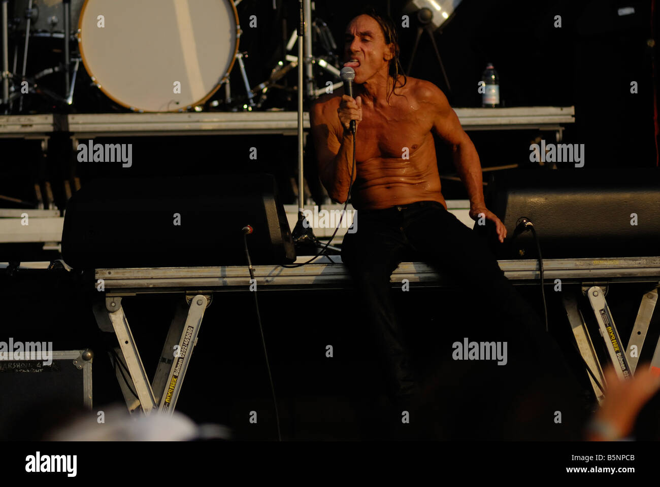 Iggy Pop, The Stooges Heineken Jamming Festival, Mestre Venice Italy 21  july 2008 Stock Photo - Alamy, image size:1300x960