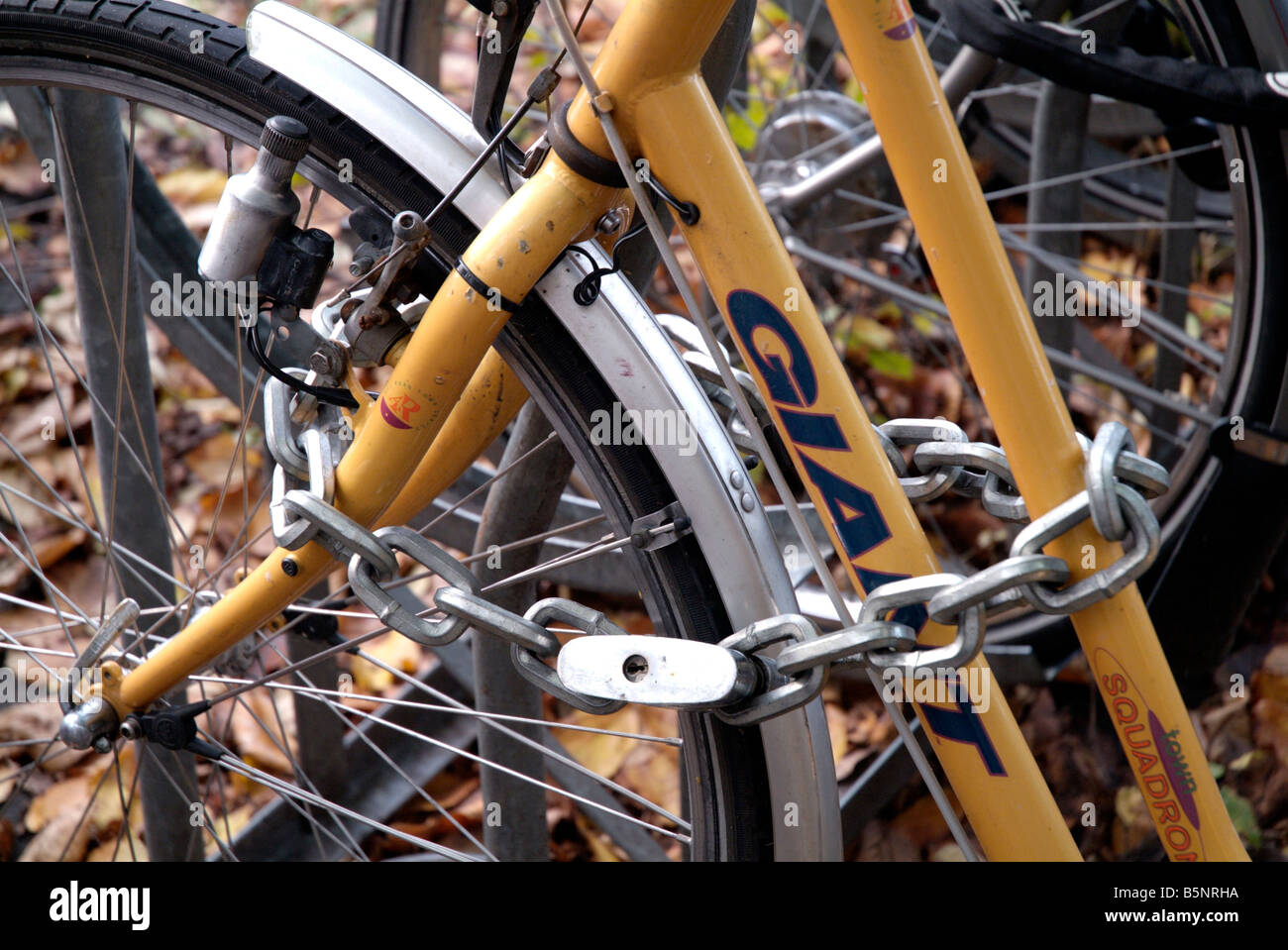 bicycle locked to bike rack in Amsterdam Netherlands Stock Photo