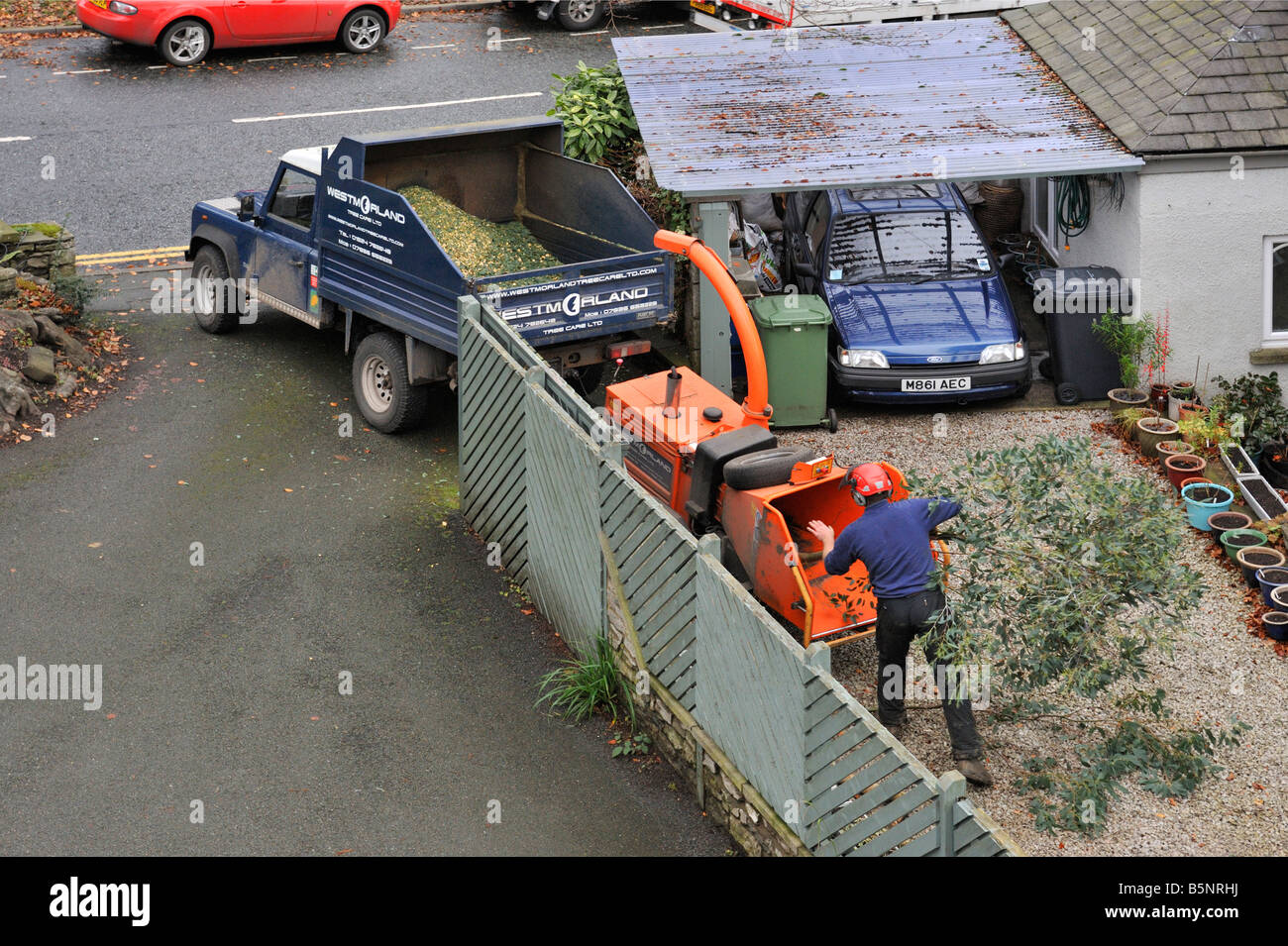 Workman shredding tree cuttings. Beast Banks, Kendal, Cumbria, England, United Kingdom, Europe