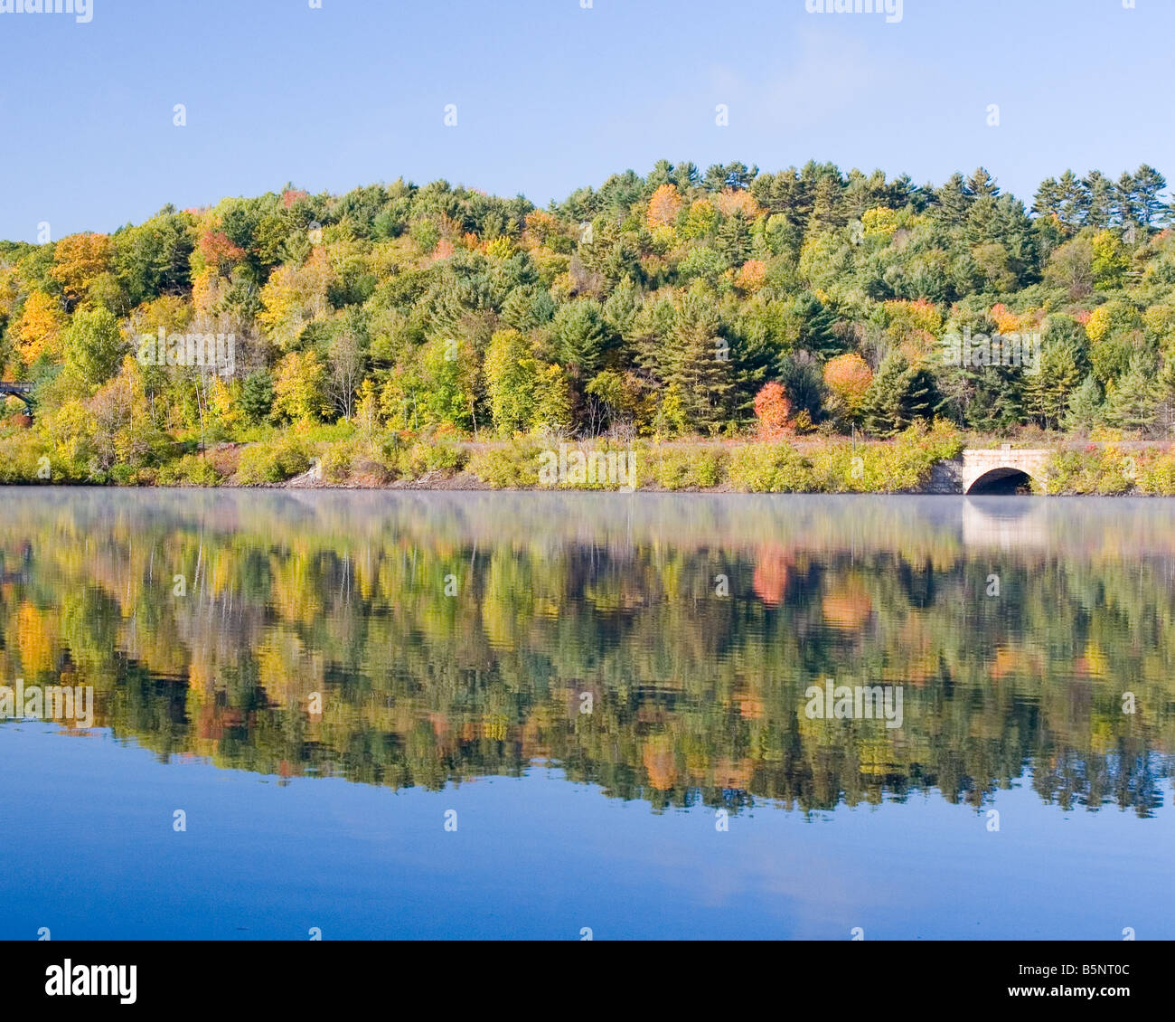 Fall trees are reflected in the Connecticut River. Stock Photo