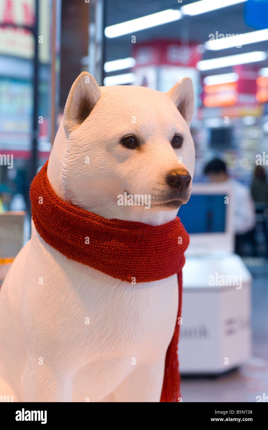 Model of a Kishu dog in an electronics store in the Shibuya district of Tokyo, Japan Stock Photo