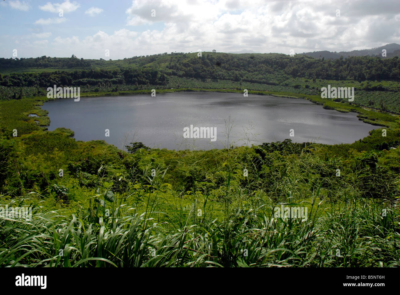 Grenada lake antoine national park hi-res stock photography and images -  Alamy