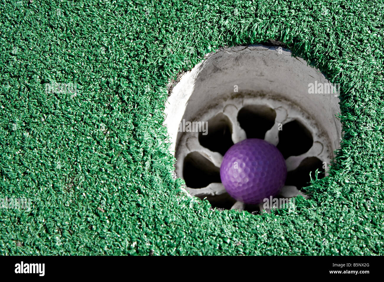 A purple gold ball sitting inside the cup Stock Photo