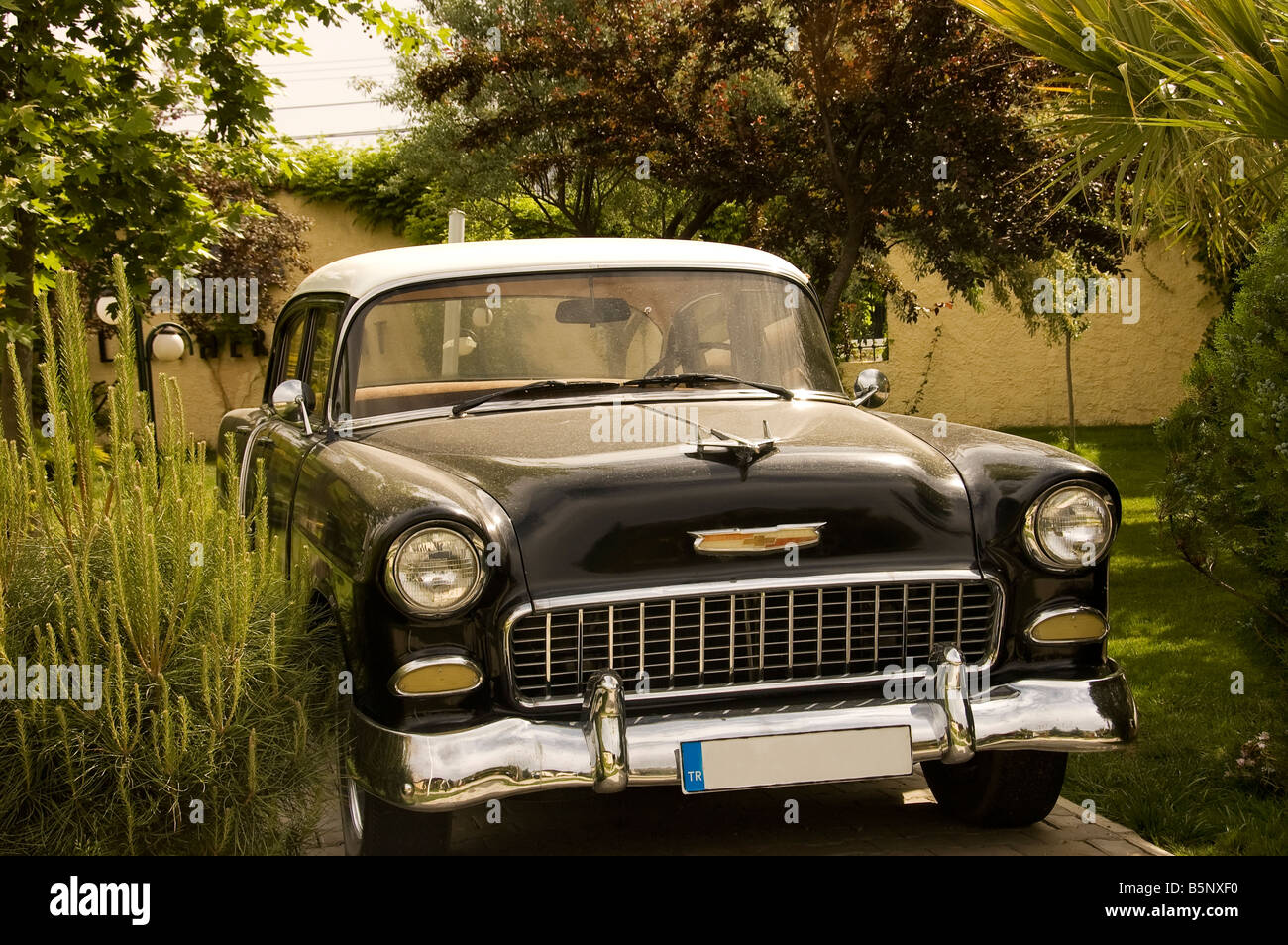 Old American car of year fifty  parked in a garden in Turkey Stock Photo