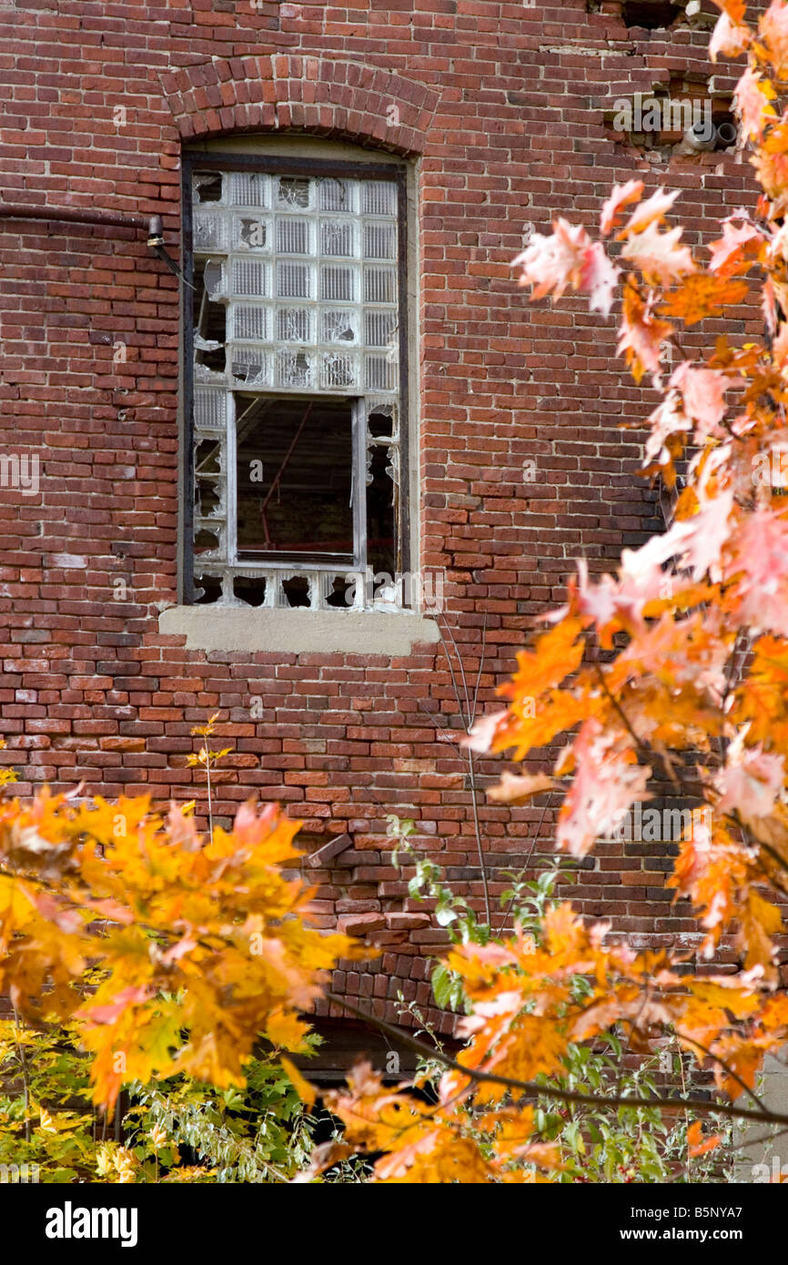 Broken window is framed by fall colors. Stock Photo