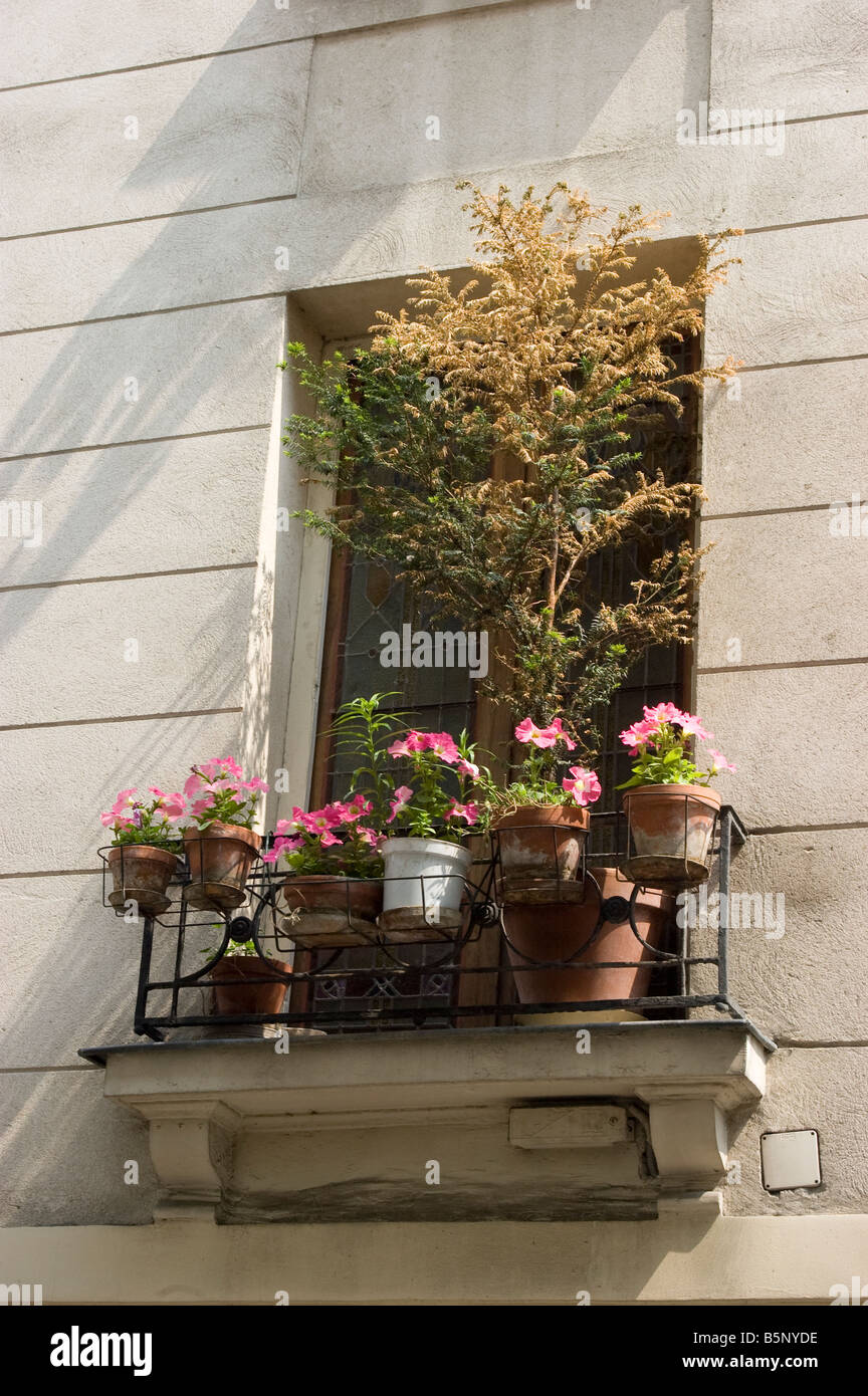 A window box in Paris Stock Photo Alamy
