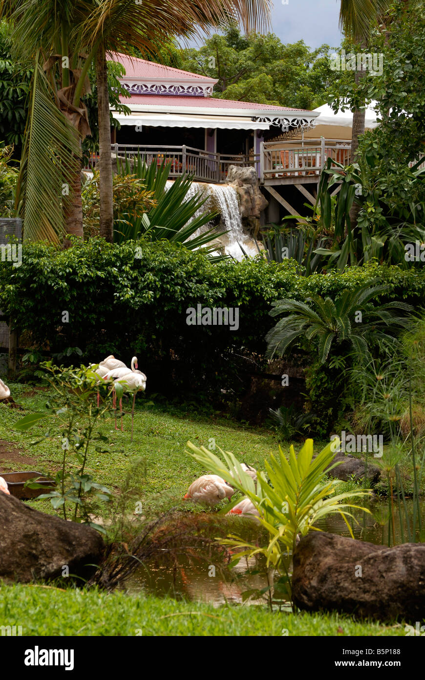Deshaies botanic garden restaurant Guadeloupe French Antilles Stock Photo
