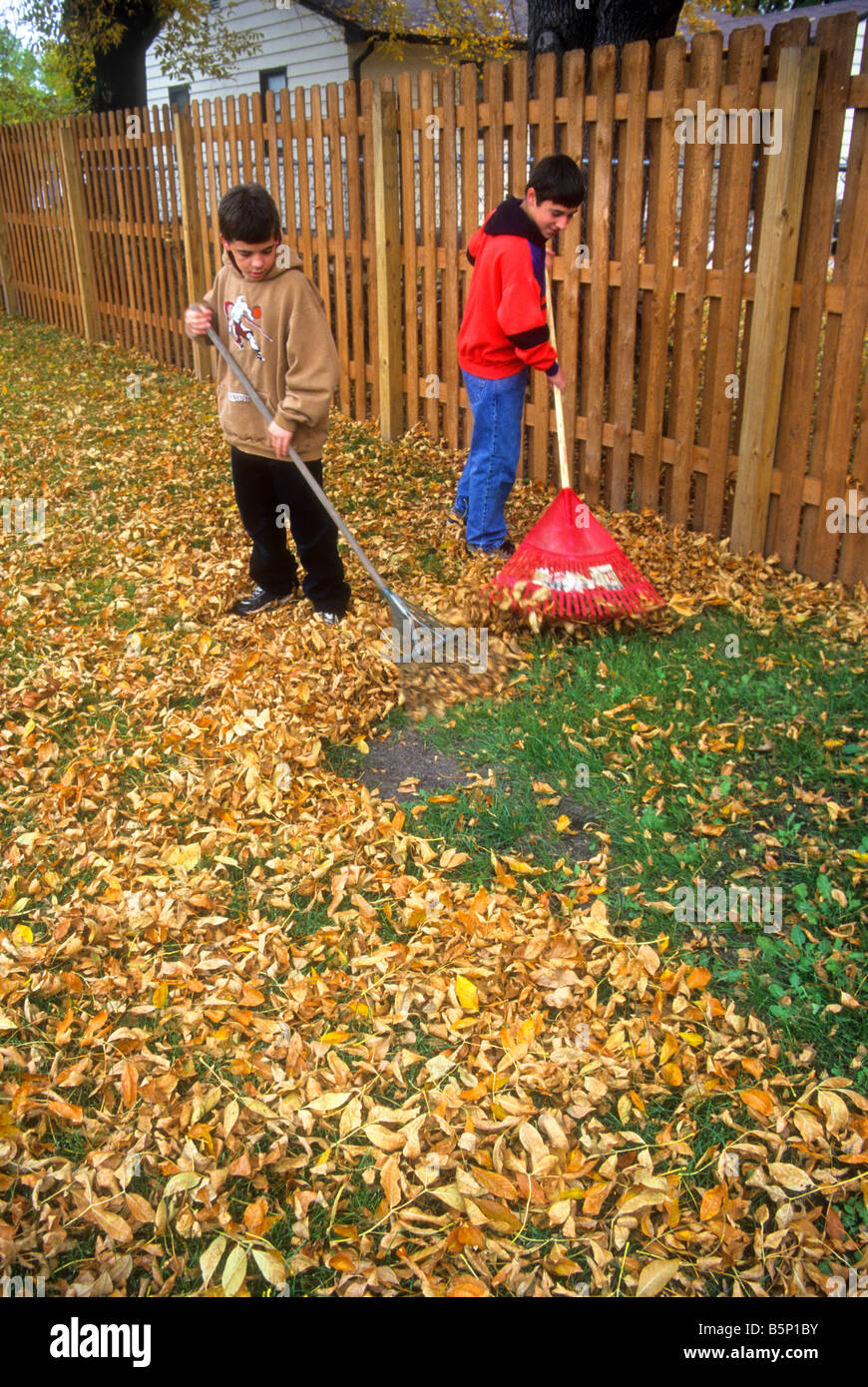 Two boys rake autumn leaves in Grand Forks, North Dakota, USA Stock ...