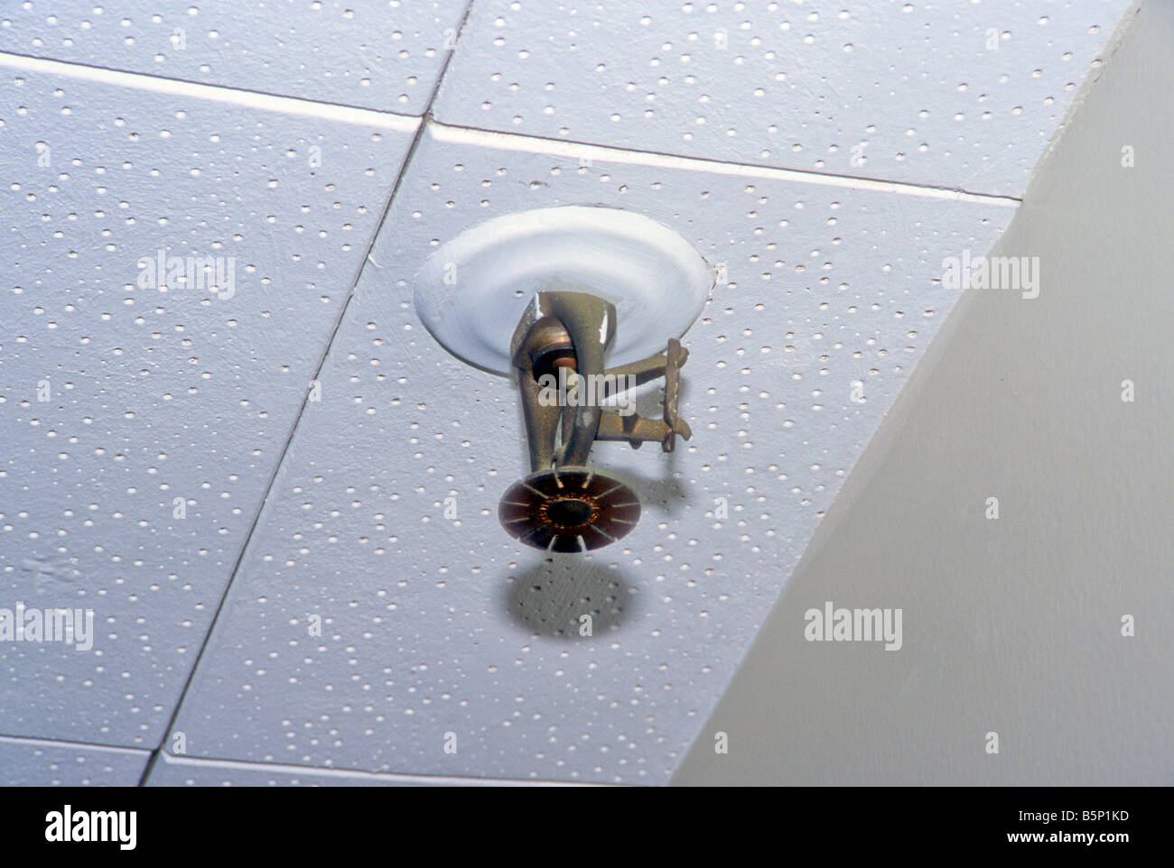 Heat sensitive fire sprinkler mounted in ceiling of building Stock