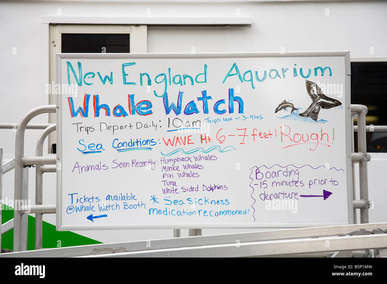 Whale Watching Tour Boat New England Aquarium Long Wharf Boston