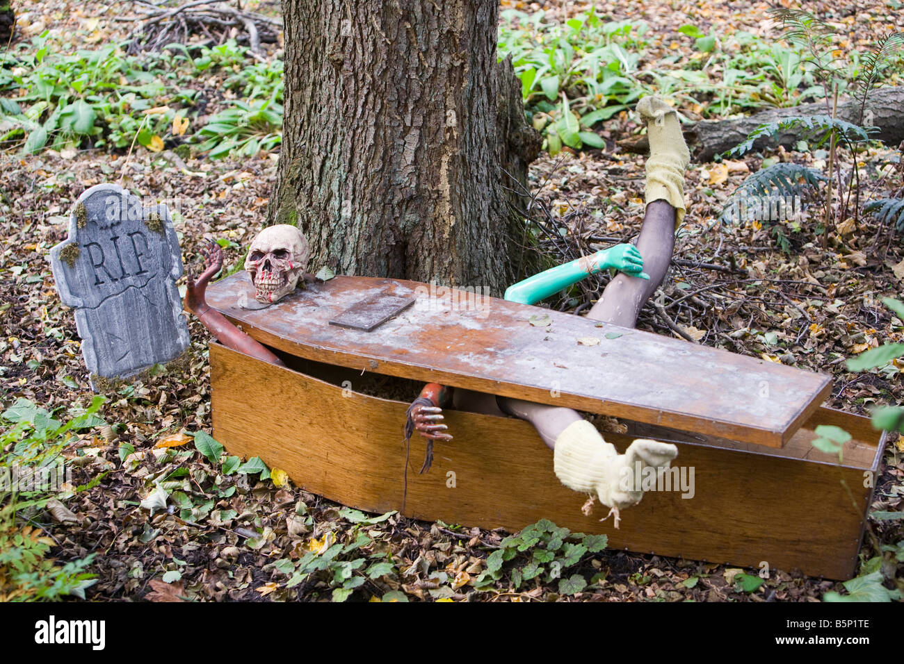 The Halloween trail at Thorp Perrow Arboretum in Yorkshire UK Stock