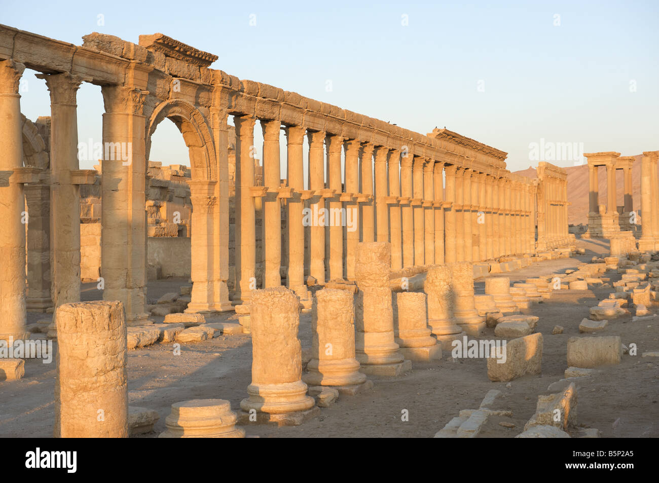 Great colonnade, Palmyra Stock Photo