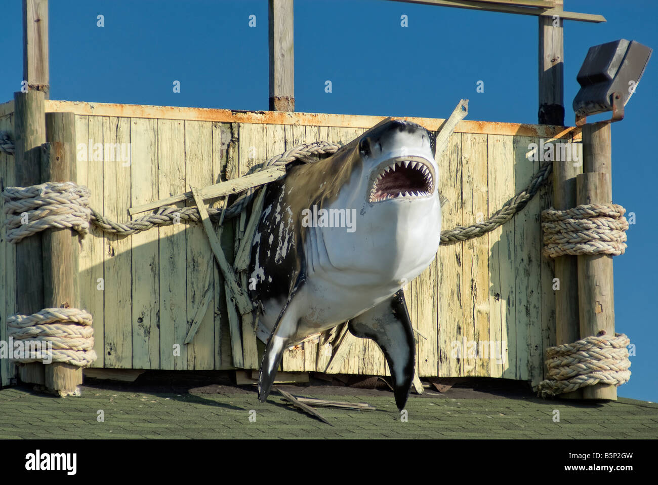 Shark Sign at Restaurant on Seawall Boulevard in Galveston Texas USA