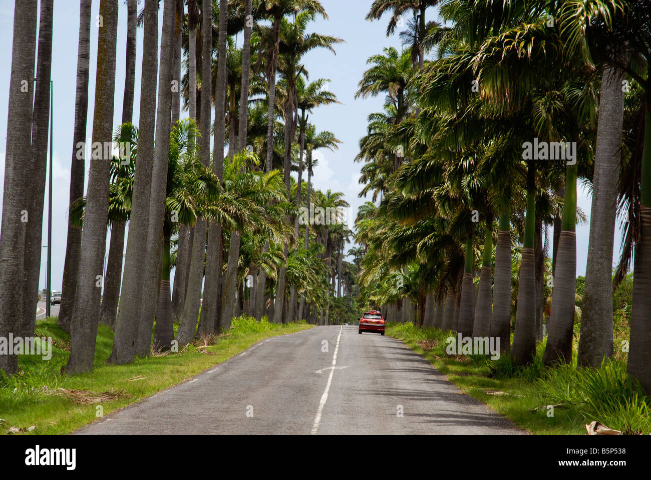 Allee Dumanoir road near Capesterre Guadeloupe French Antilles Stock Photo
