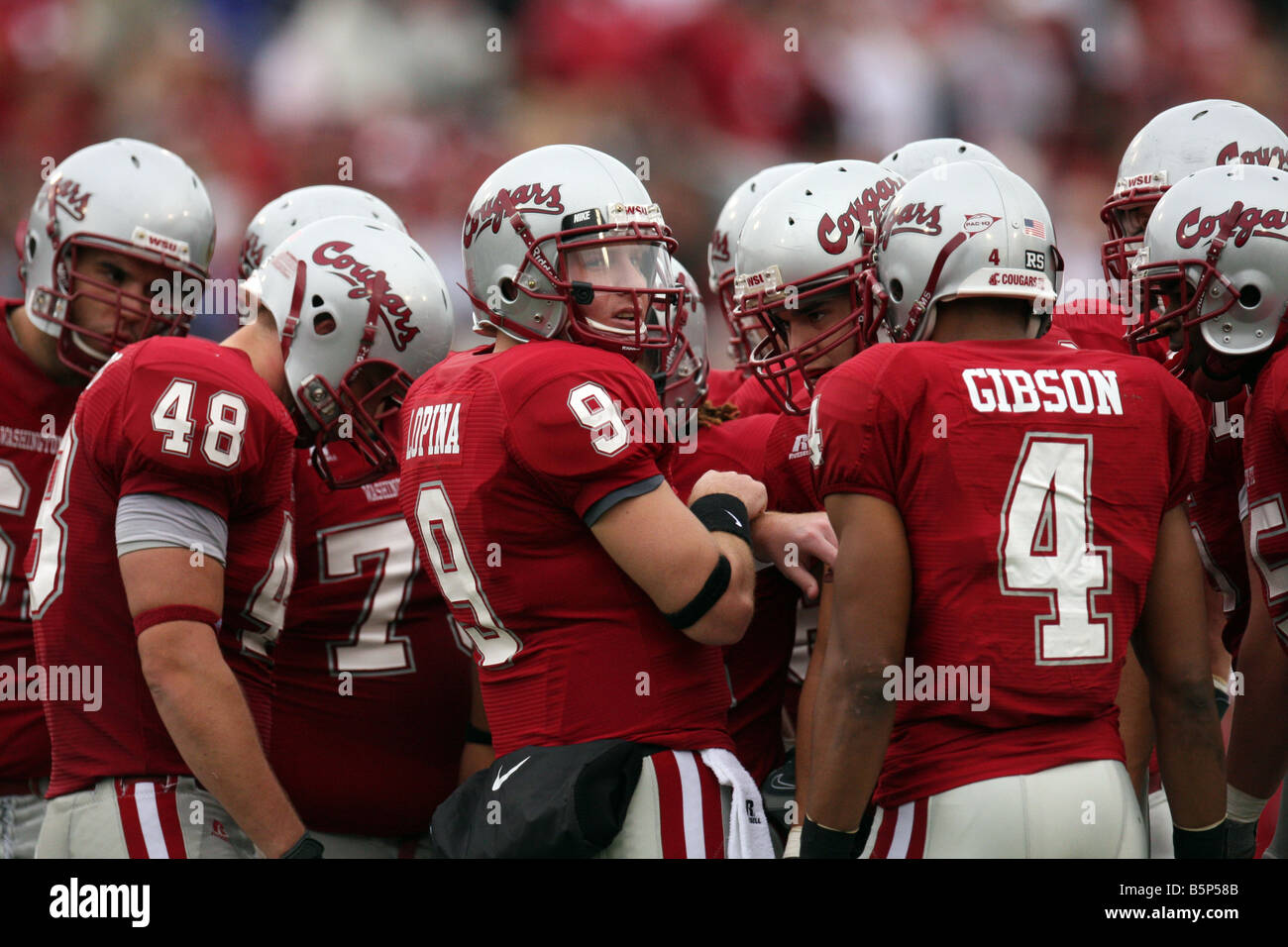 Kevin Lopina (#9), Washington State University quarterback, goes over the next play with the rest of the Cougar offense. Stock Photo