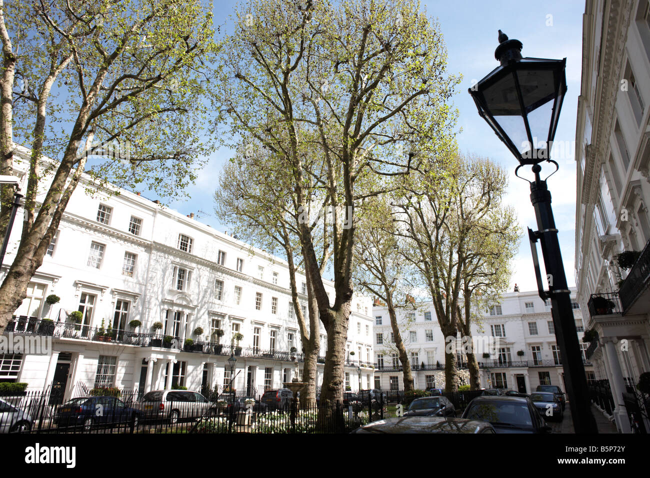 Immaculate and identical white-painted properties and ornamental lamp post in exclusive Wellington Square, London SW3 Stock Photo
