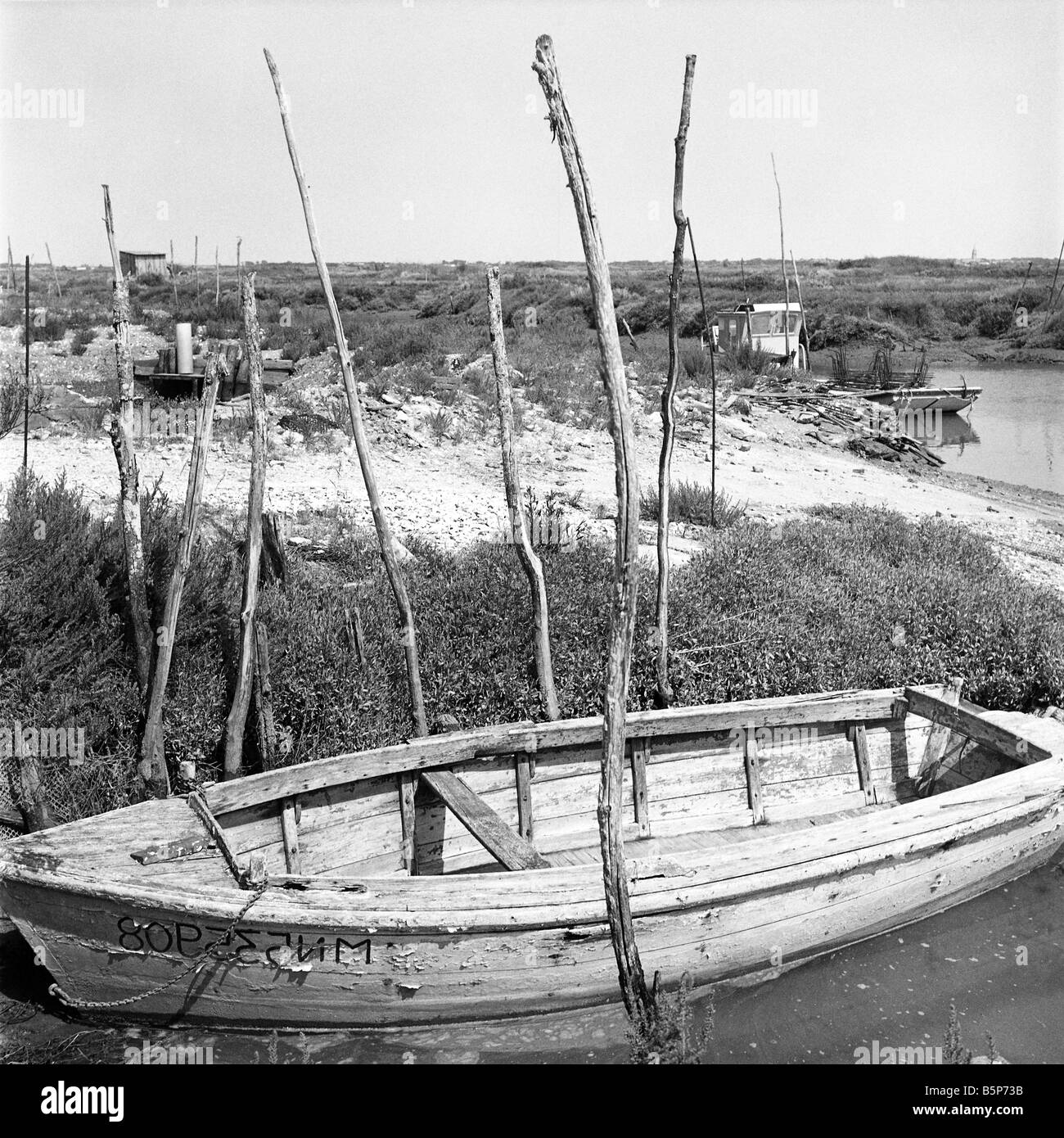 Oyster farming landscape Coux La Tremblade Charentes maritimes