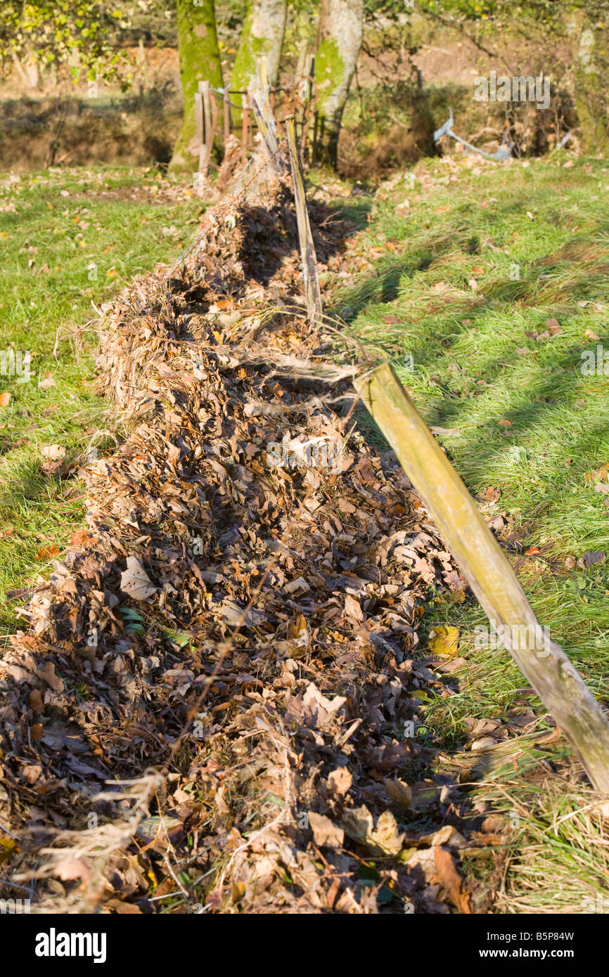 Flood debris on a fence after the October 2008 floods in Ambleside Cumbria UK Stock Photo