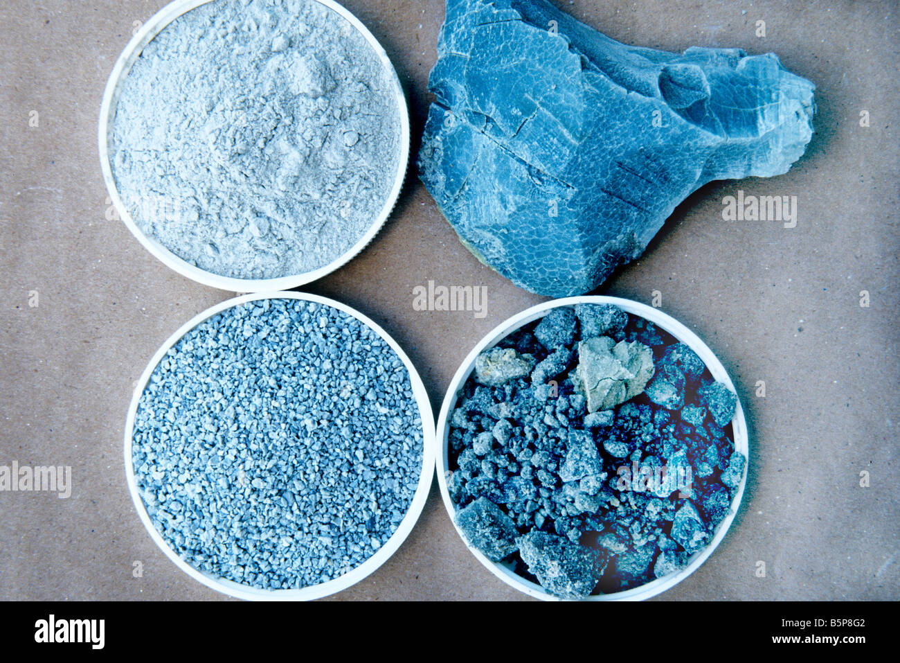 Specimens Stock Photos & Specimens Stock Images - Alamy