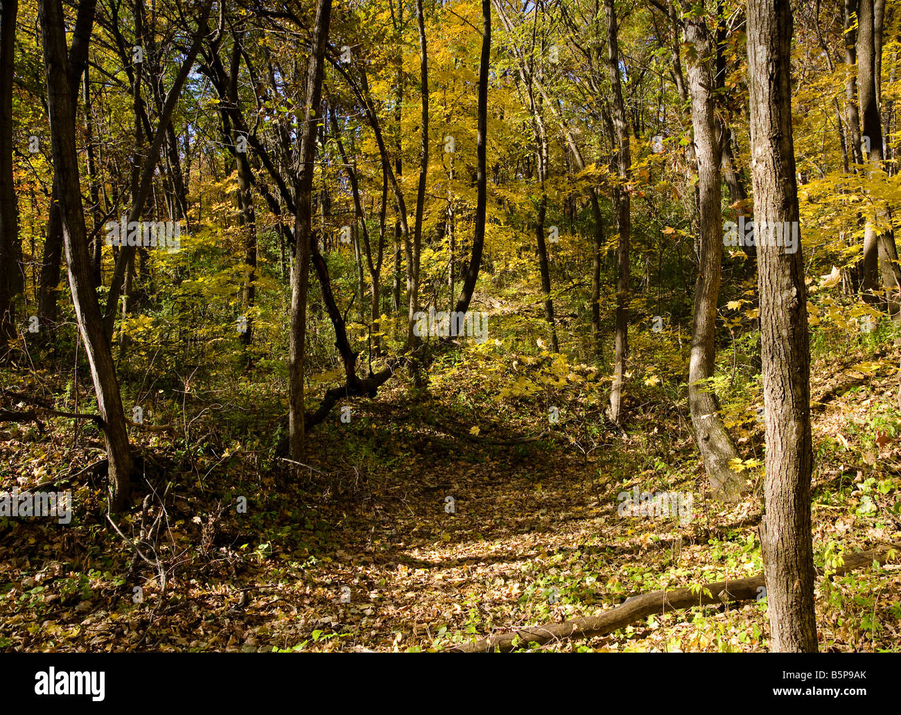 Black Hawk State Park in Rock Island, Illinois Stock Photo Alamy