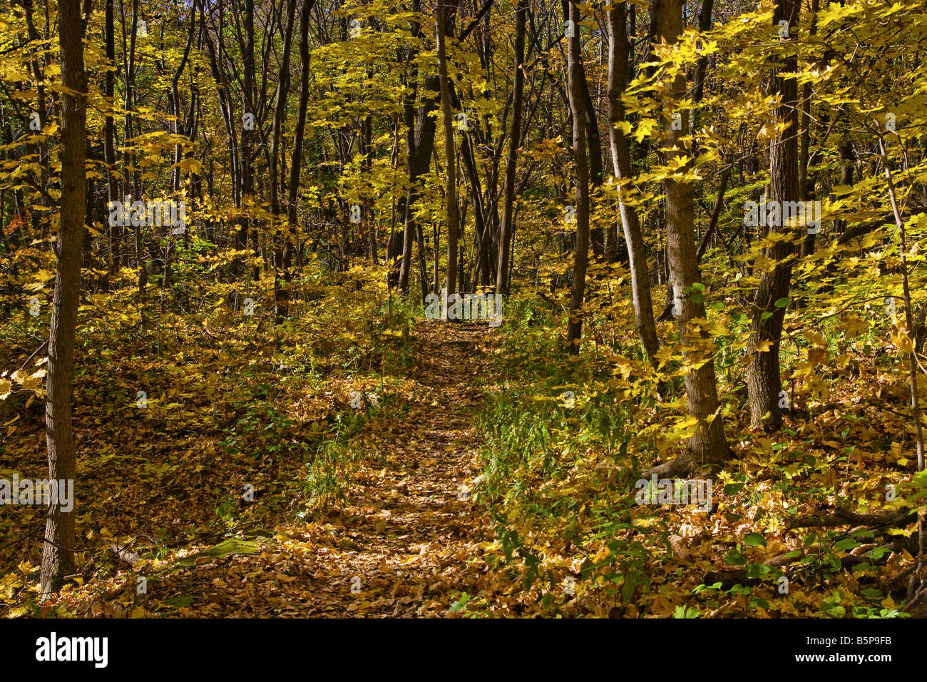 Black Hawk State Park in Rock Island, Illinois Stock Photo Alamy