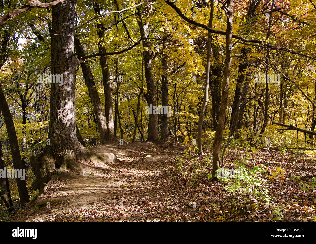 Black Hawk State Park in Rock Island, Illinois Stock Photo Alamy