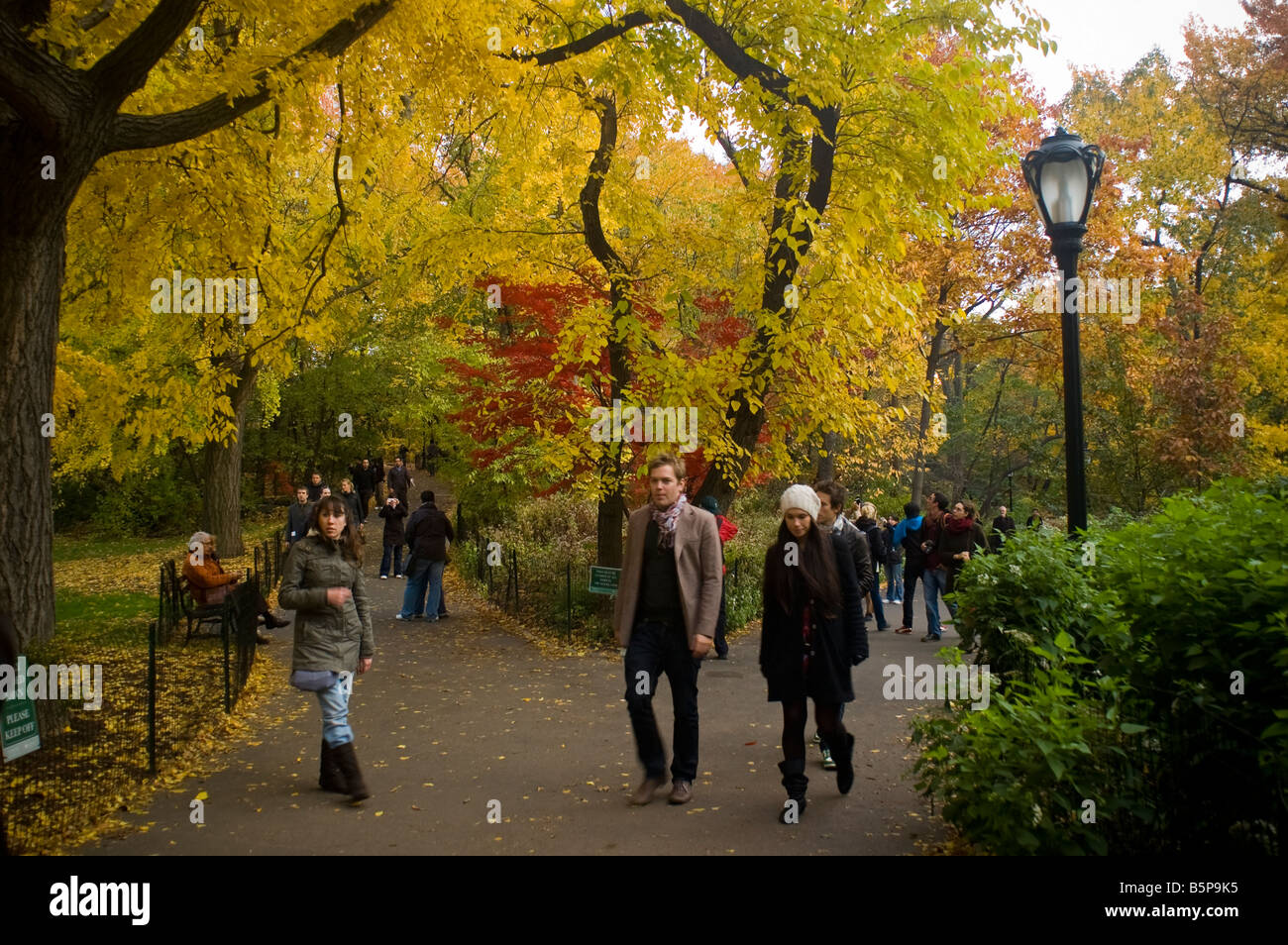 Visitors to the Ramble in Central Park in New York view the fall foliage on Sunday November 9 2008 Richard B Levine Stock Photo