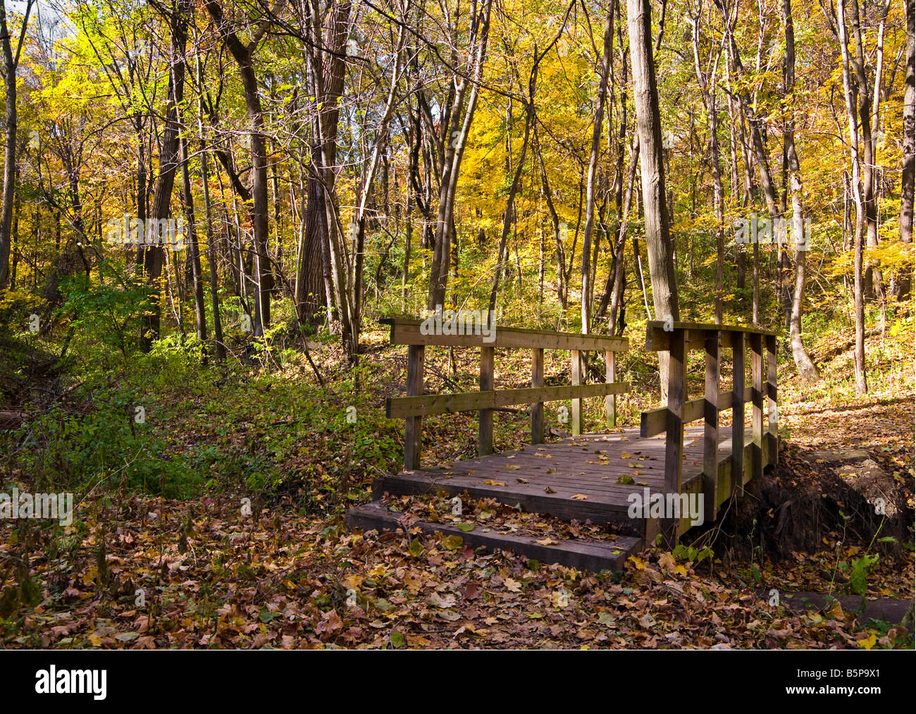 Black Hawk State Park in Rock Island, Illinois Stock Photo Alamy