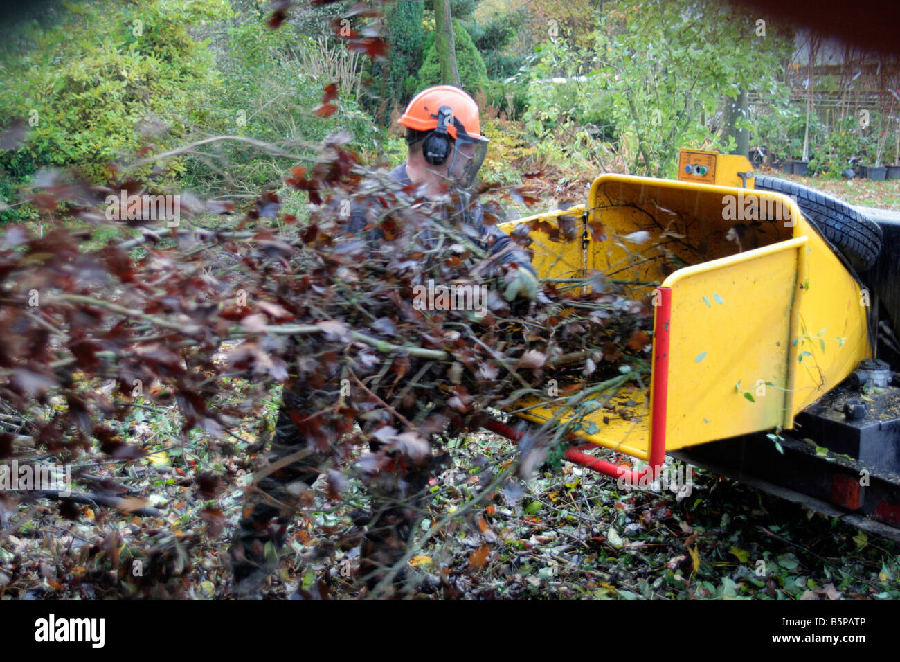 WOOD CHIPPER IN OPERATION Stock Photo Alamy