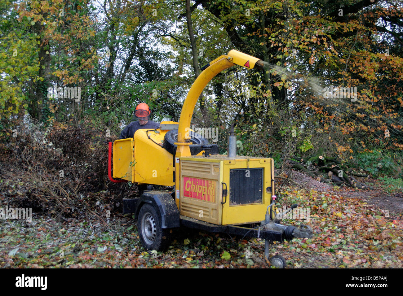 WOOD CHIPPER IN OPERATION Stock Photo Alamy