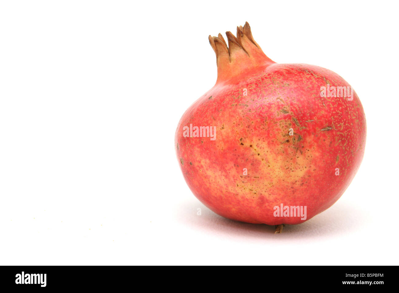 one pomegranate closeup with copyspace isolated on white Stock Photo