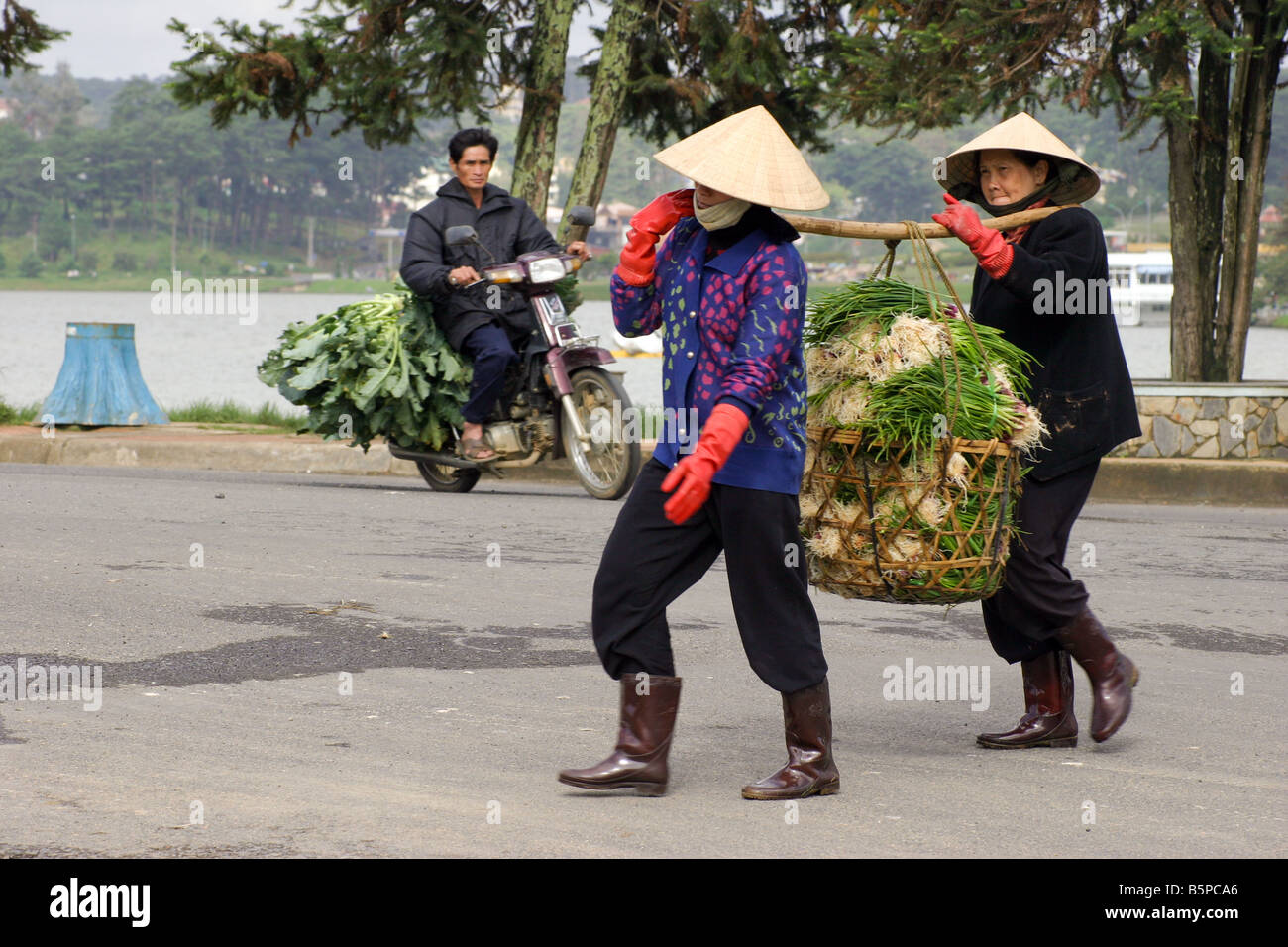 Vietnamese women peasant crossing the street and carrying fresh garlic in traditional basket