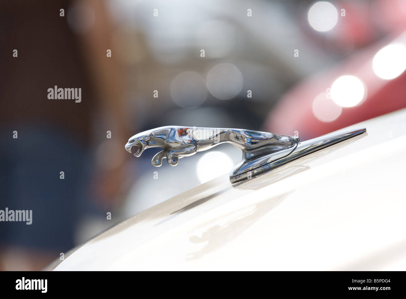 closeup car jaguar logo blurry background Stock Photo